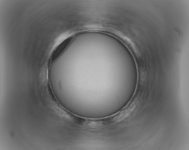 X0000111031365200907161316