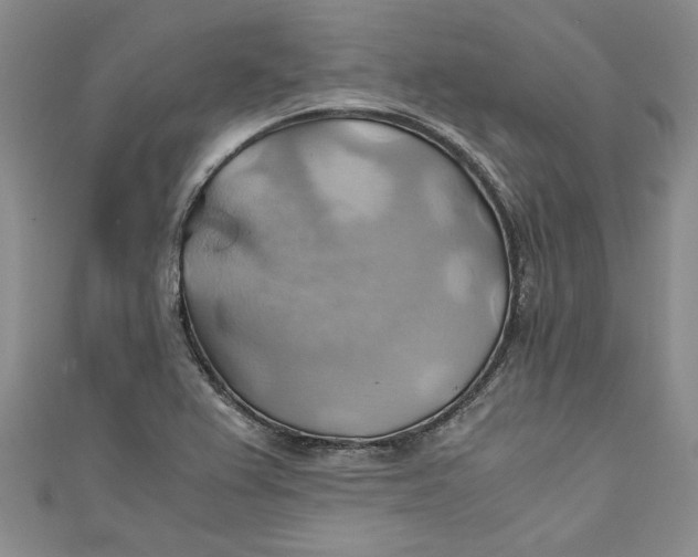 X0000111031367200907161316
