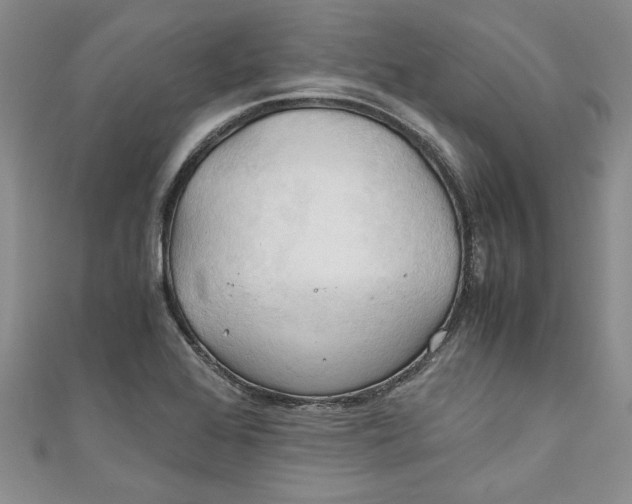 X0000111031368200907161316