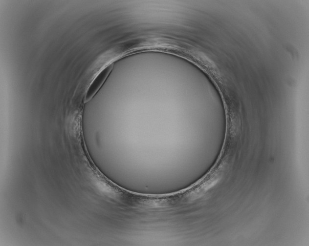 X0000111031369200907161316