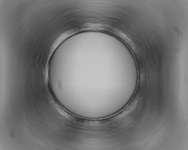 X0000111031370200907161316