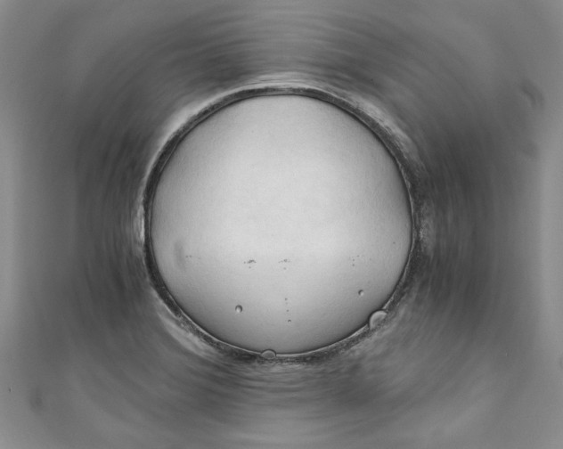 X0000111031372200907161316