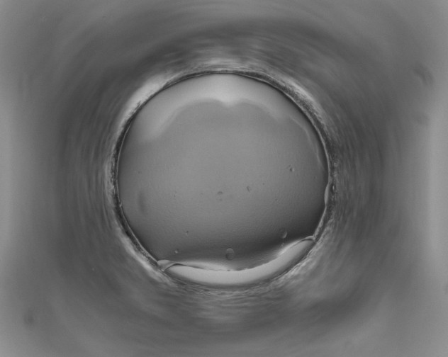X0000111031373200907161316