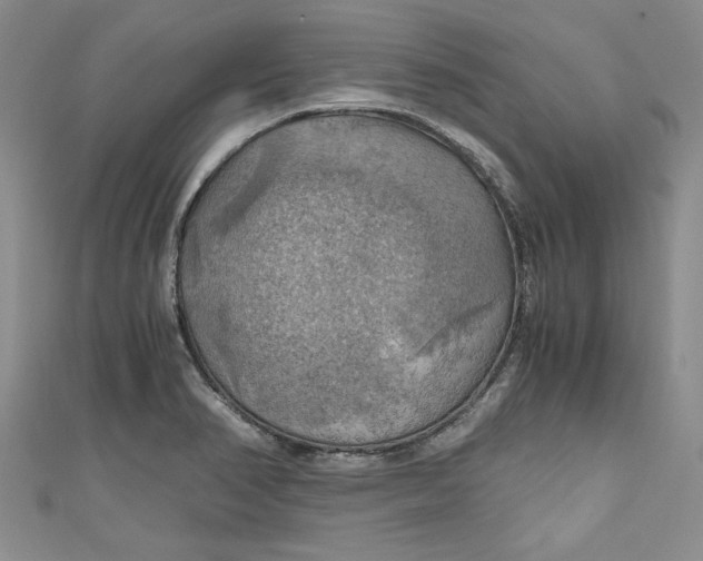 X0000111031374200907161316