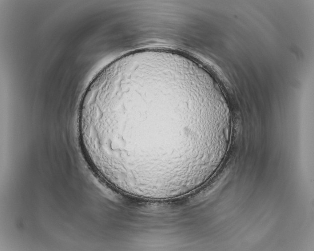 X0000111031375200907161316