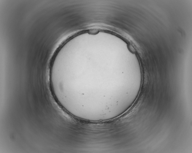 X0000111031376200907161316
