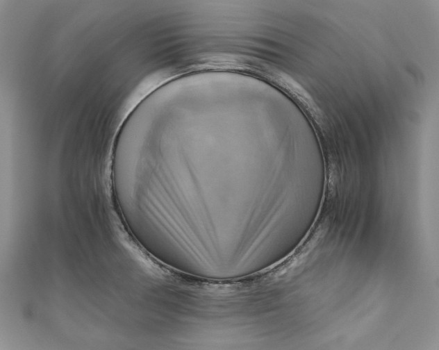 X0000111031378200907161316