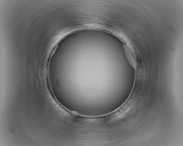 X0000111031381200907161316