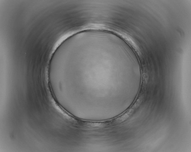 X0000111031382200907161316