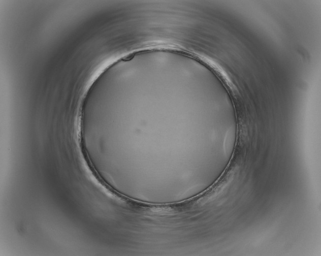 X0000111031383200907161316