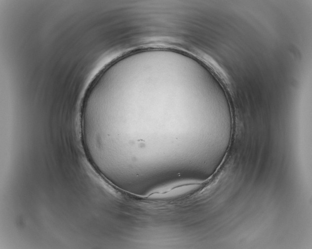 X0000111031384200907161316