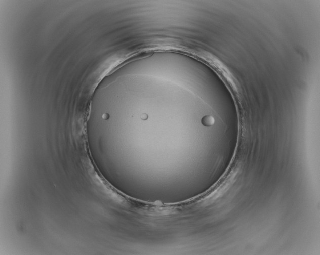 X0000111031385200907161316