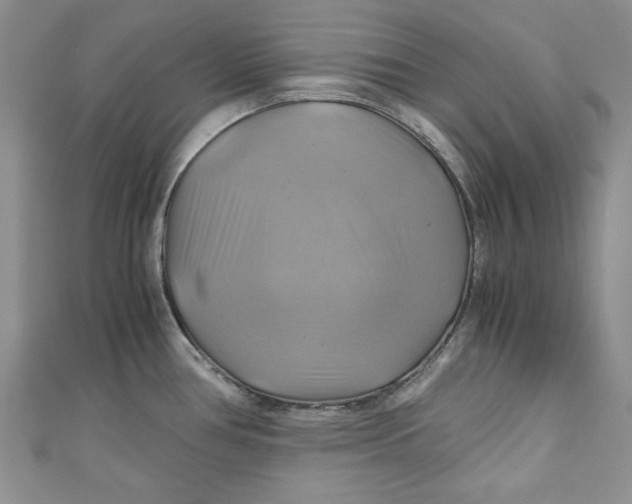 X0000111031386200907161316