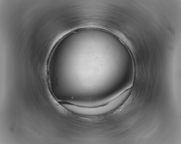 X0000111031388200907161316