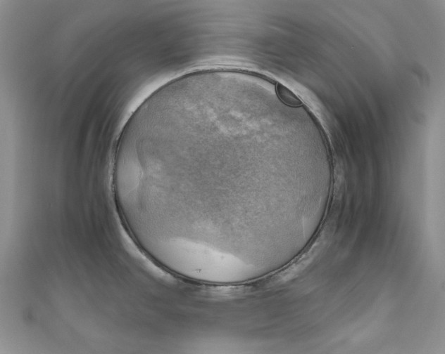 X0000111031390200907161316