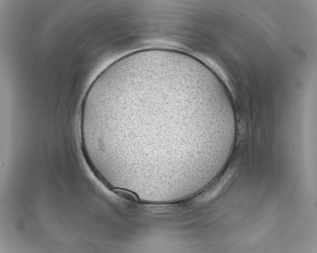 X0000111031391200907161316