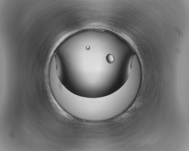 X0000111031392200907161316