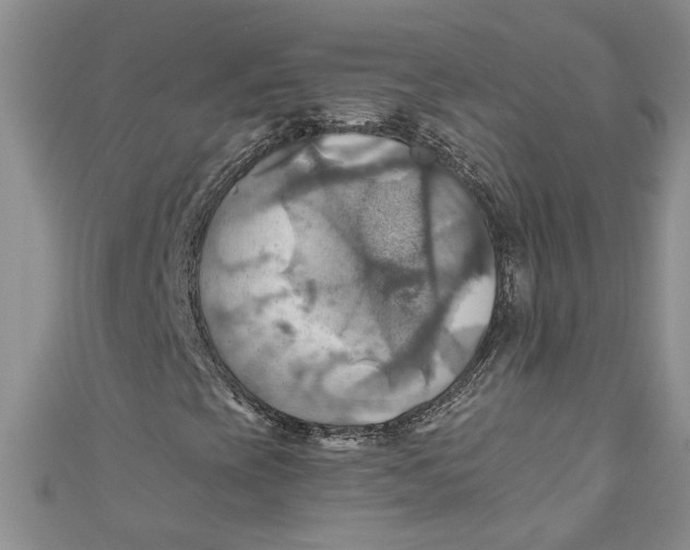 X0000111031393200907161315
