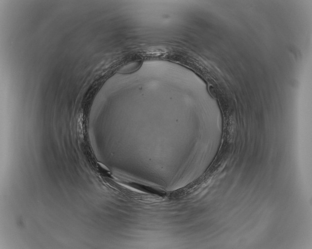 X0000111031394200907161315