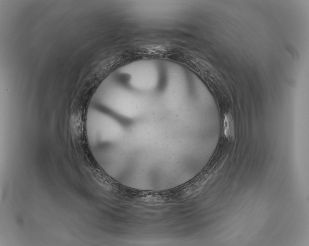 X0000111031395200907161315