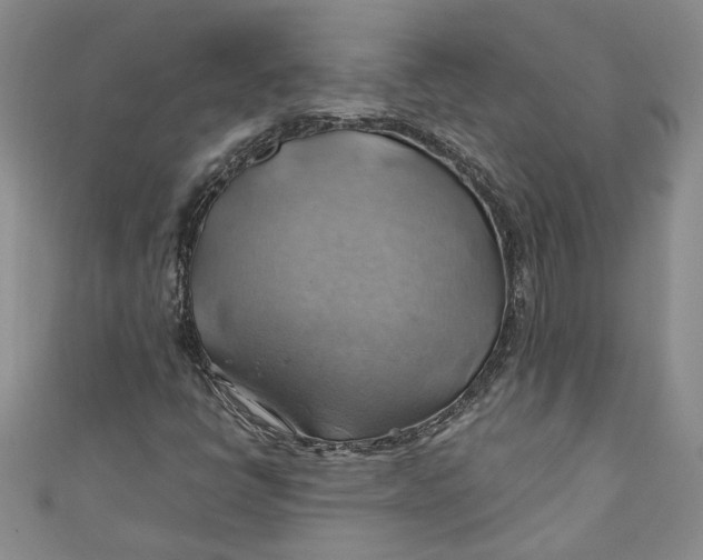 X0000111031398200907161315
