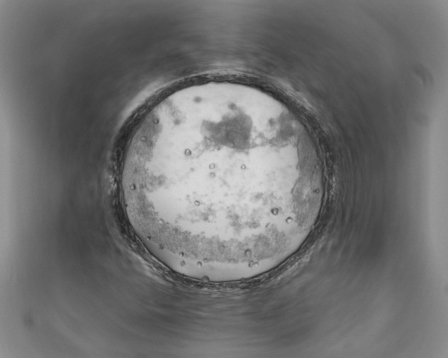 X0000111031400200907161315