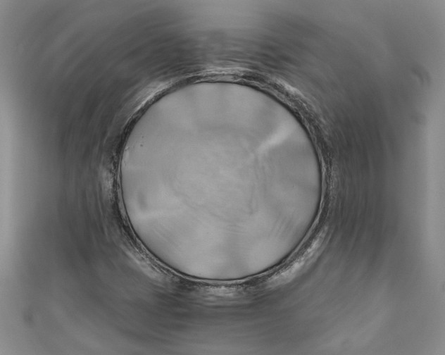 X0000111031401200907161315