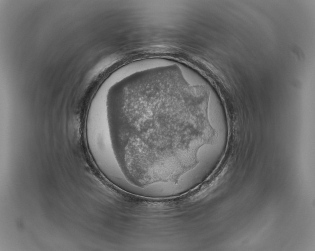 X0000111031402200907161315