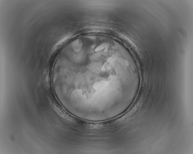 X0000111031403200907161315