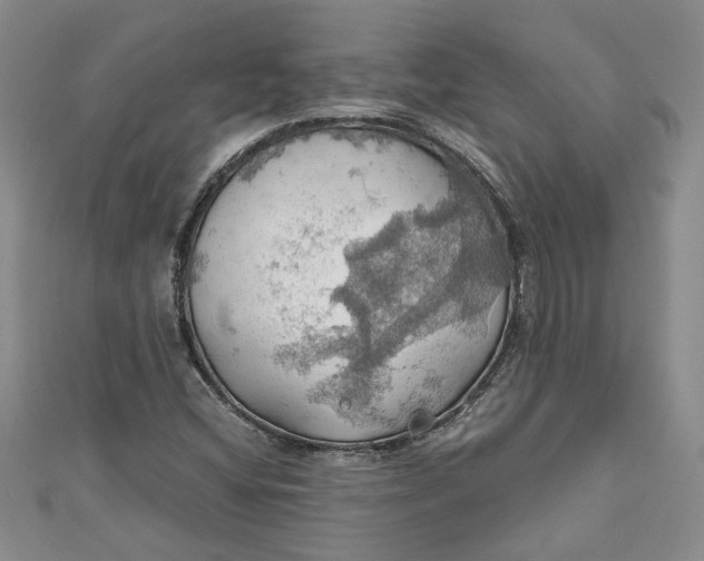 X0000111031404200907161315