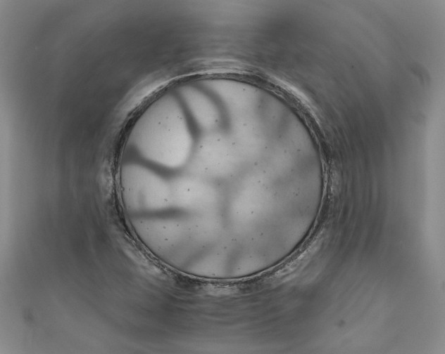X0000111031407200907161315