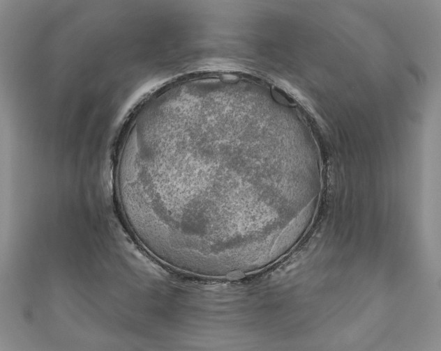 X0000111031408200907161316