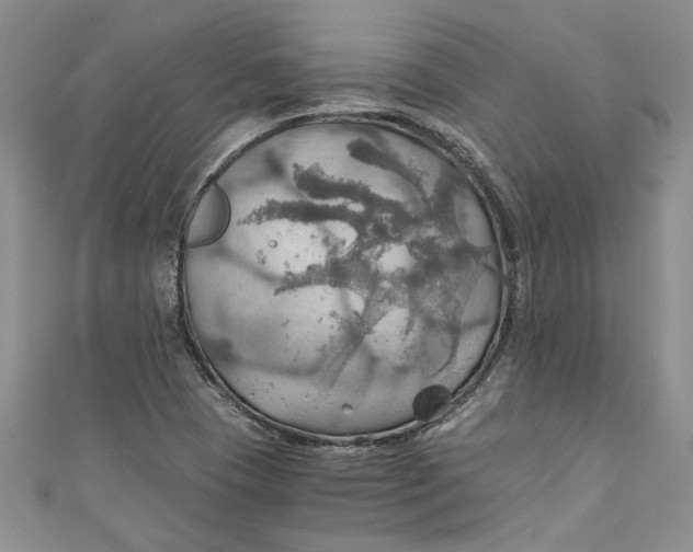 X0000111031409200907161316