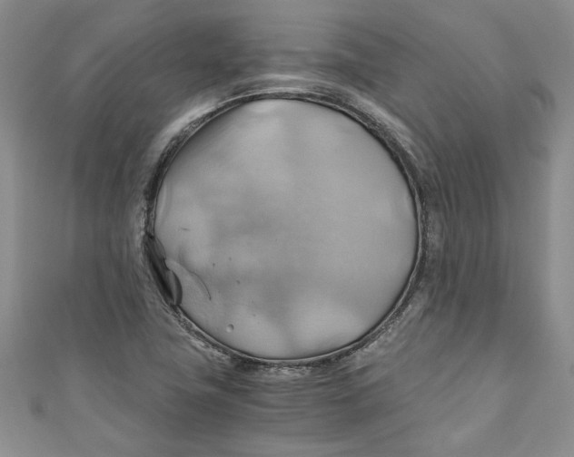X0000111031411200907161316