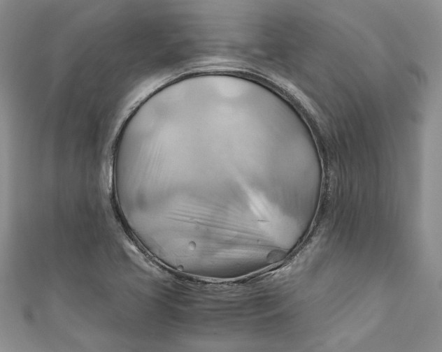 X0000111031413200907161316