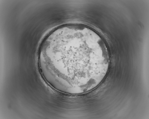 X0000111031416200907161316