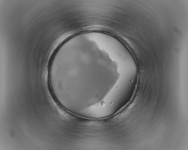 X0000111031418200907161316