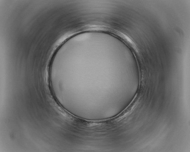 X0000111031419200907161316