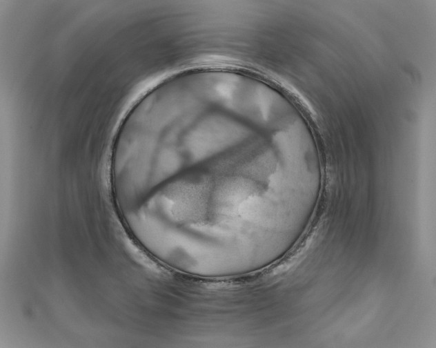 X0000111031421200907161316