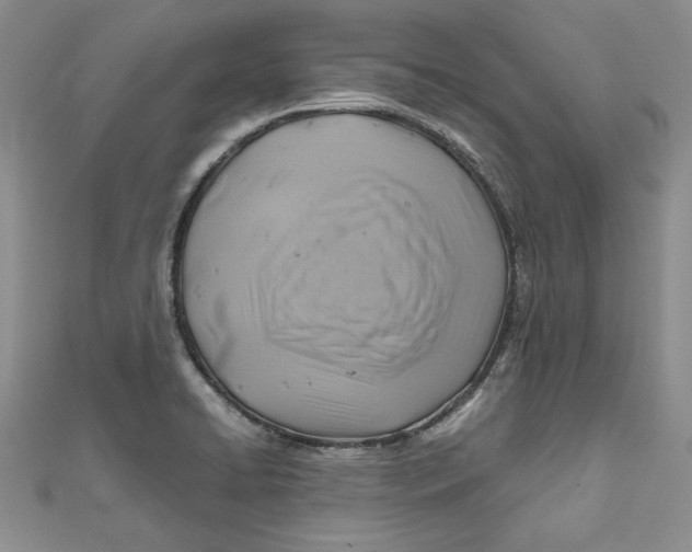 X0000111031422200907161316