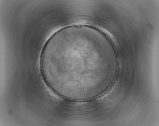 X0000111031423200907161316