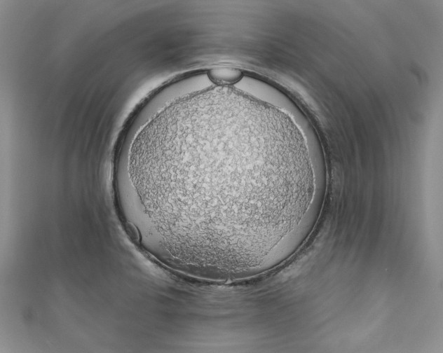 X0000111031424200907161316