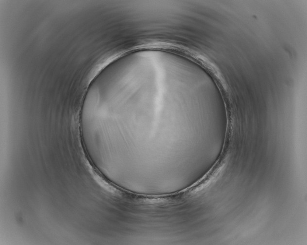 X0000111031425200907161316
