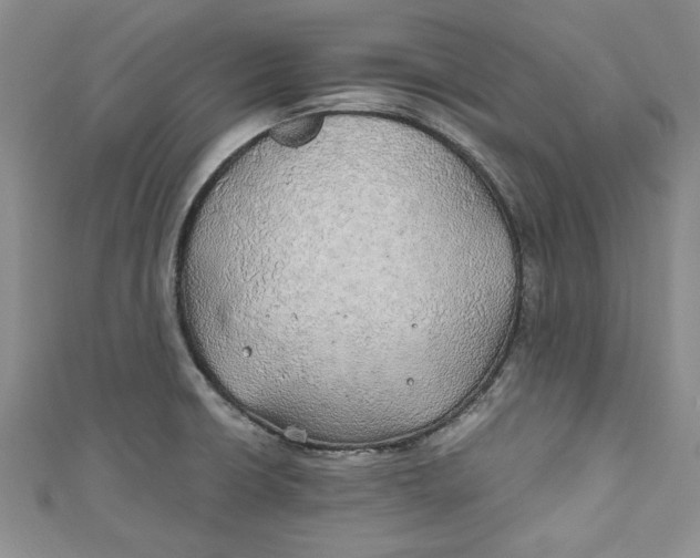 X0000111031426200907161316