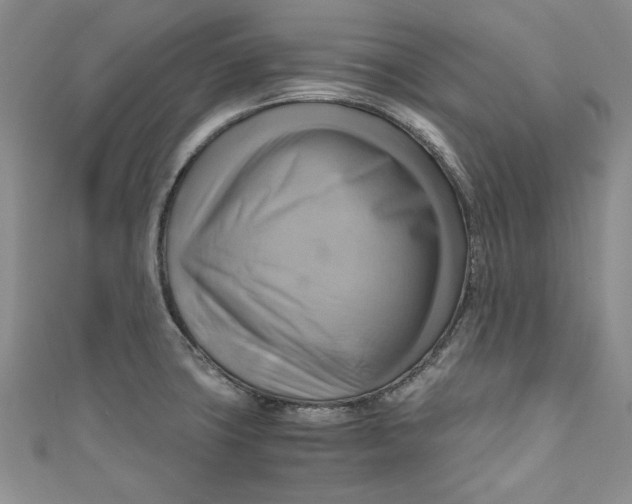 X0000111031427200907161316