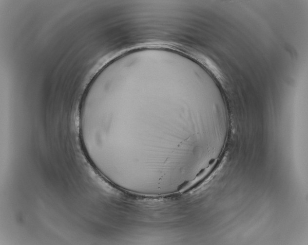 X0000111031428200907161316