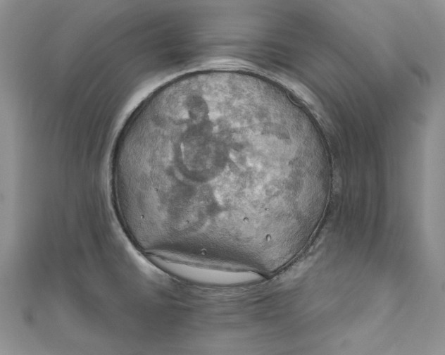 X0000111031430200907161316