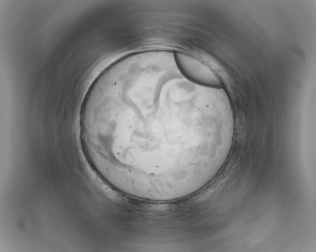 X0000111031431200907161316