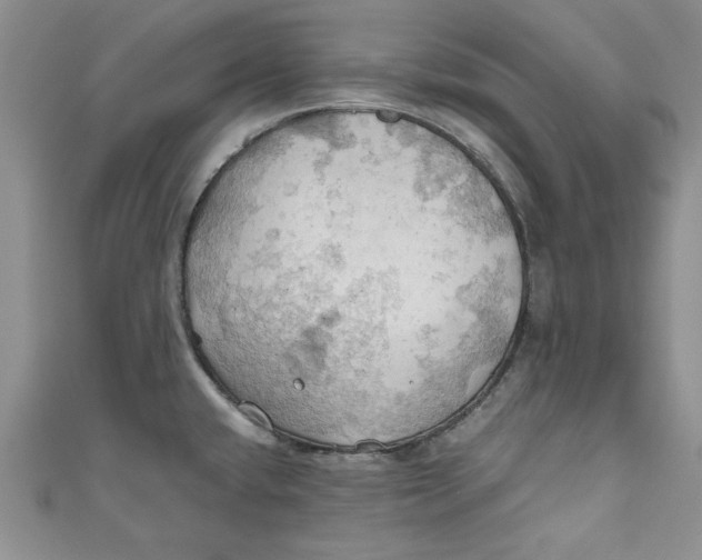 X0000111031432200907161316