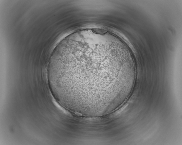 X0000111031433200907161316
